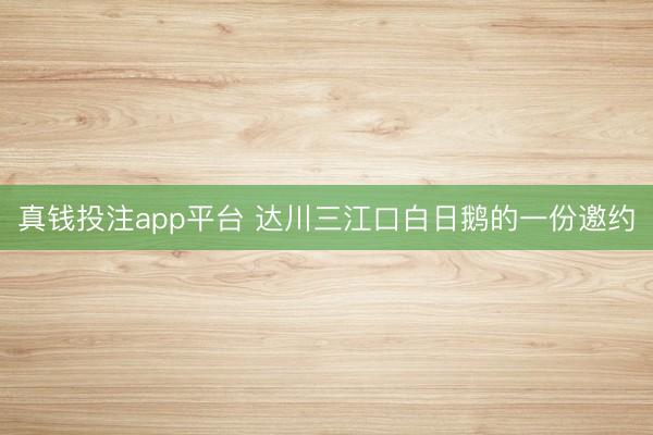 真钱投注app平台 达川三江口白日鹅的一份邀约