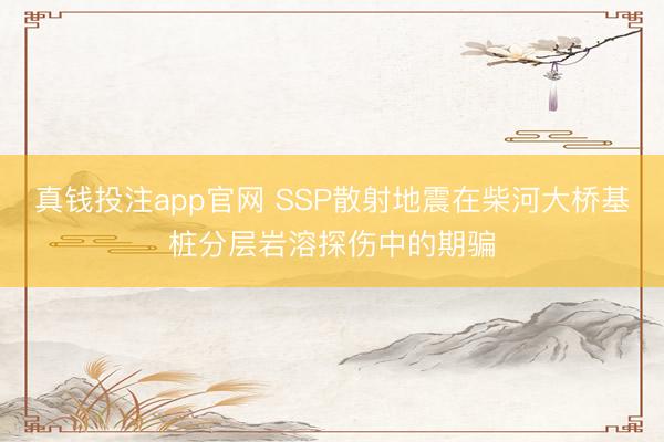 真钱投注app官网 SSP散射地震在柴河大桥基桩分层岩溶探伤中的期骗