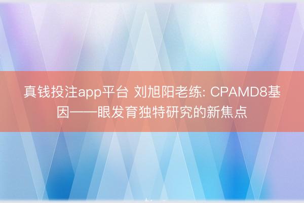 真钱投注app平台 刘旭阳老练: CPAMD8基因——眼发育独特研究的新焦点