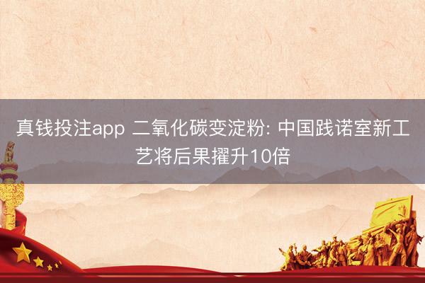 真钱投注app 二氧化碳变淀粉: 中国践诺室新工艺将后果擢升10倍