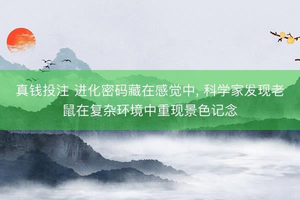 真钱投注 进化密码藏在感觉中, 科学家发现老鼠在复杂环境中重现景色记念