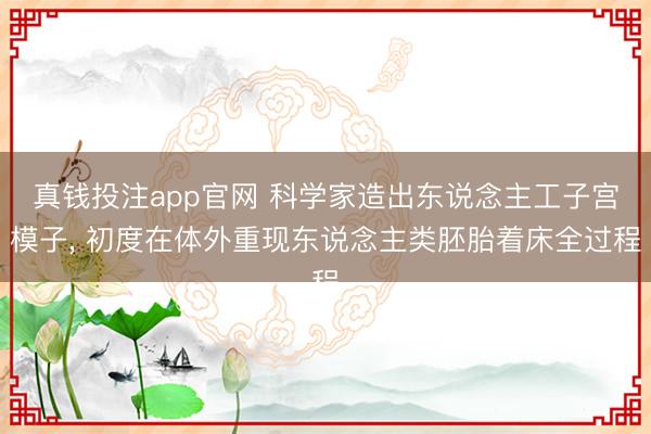 真钱投注app官网 科学家造出东说念主工子宫模子, 初度在体外重现东说念主类胚胎着床全过程