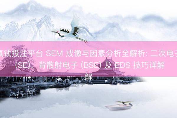 真钱投注平台 SEM 成像与因素分析全解析: 二次电子 (SE)、背散射电子 (BSE) 及 EDS 技巧详解