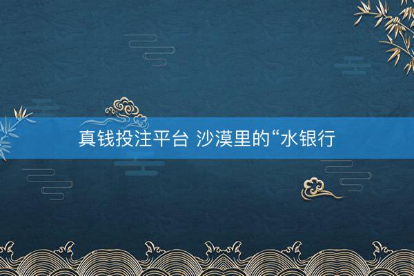 真钱投注平台 沙漠里的“水银行