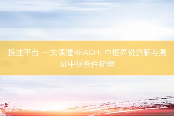 投注平台 一文读懂REACH: 中枢界说拆解与测试中枢条件梳理