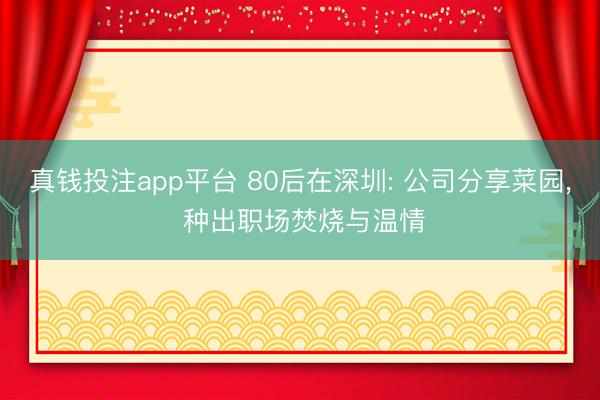 真钱投注app平台 80后在深圳: 公司分享菜园, 种出职场焚烧与温情