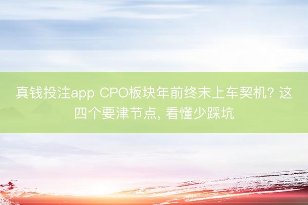 真钱投注app CPO板块年前终末上车契机? 这四个要津节点, 看懂少踩坑
