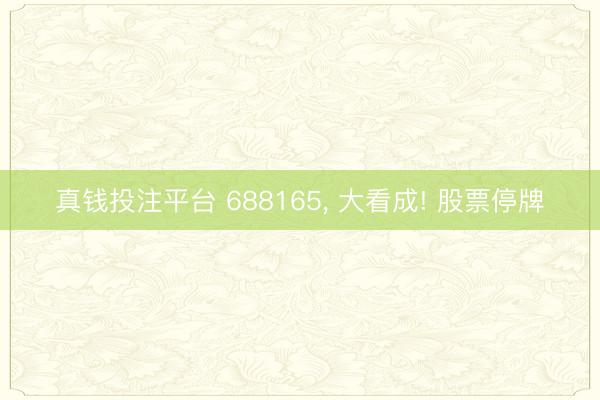 真钱投注平台 688165, 大看成! 股票停牌