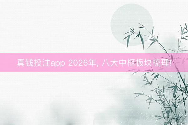 真钱投注app 2026年, 八大中枢板块梳理!