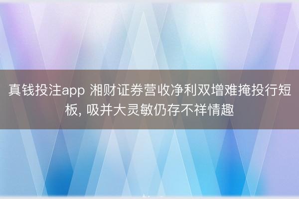 真钱投注app 湘财证券营收净利双增难掩投行短板, 吸并大灵敏仍存不祥情趣