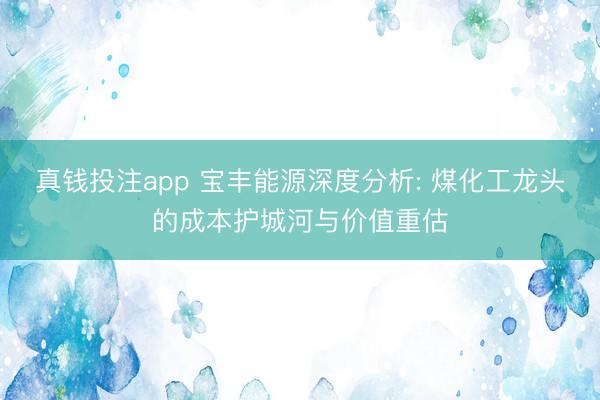 真钱投注app 宝丰能源深度分析: 煤化工龙头的成本护城河与价值重估