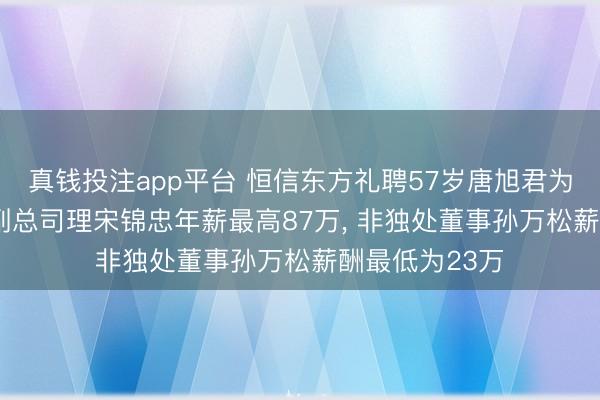 真钱投注app平台 恒信东方礼聘57岁唐旭君为非独处董事, 副总司理宋锦忠年薪最高87万, 非独处董事孙万松薪酬最低为23万