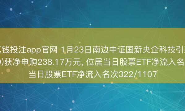 真钱投注app官网 1月23日南边中证国新央企科技引颈ETF(560170)获净申购238.17万元, 位居当日股票ETF净流入名次322/1107