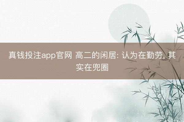 真钱投注app官网 高二的闲居: 认为在勤劳, 其实在兜圈