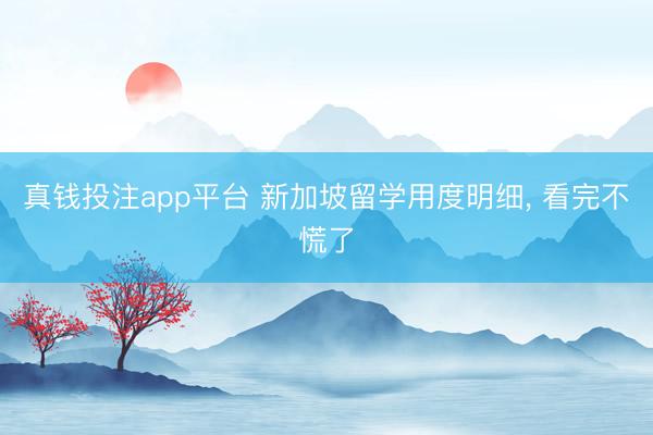 真钱投注app平台 新加坡留学用度明细, 看完不慌了