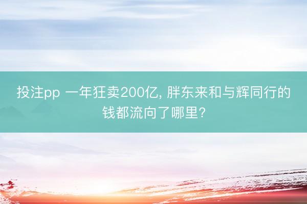投注pp 一年狂卖200亿, 胖东来和与辉同行的钱都流向了哪里?