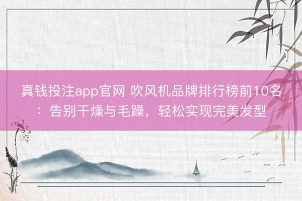 真钱投注app官网 吹风机品牌排行榜前10名：告别干燥与毛躁，轻松实现完美发型