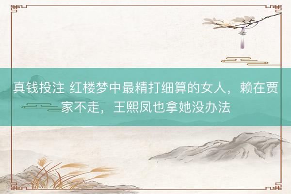 真钱投注 红楼梦中最精打细算的女人，赖在贾家不走，王熙凤也拿她没办法