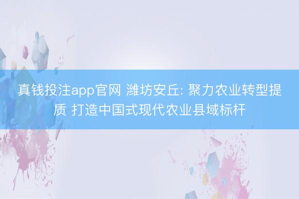 真钱投注app官网 潍坊安丘: 聚力农业转型提质 打造中国式现代农业县域标杆
