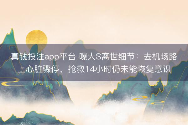 真钱投注app平台 曝大S离世细节：去机场路上心脏骤停，抢救14小时仍未能恢复意识