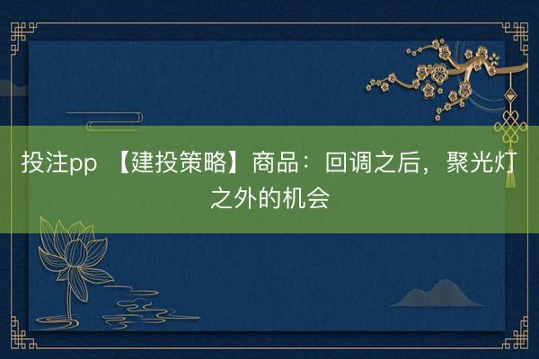 投注pp 【建投策略】商品：回调之后，聚光灯之外的机会