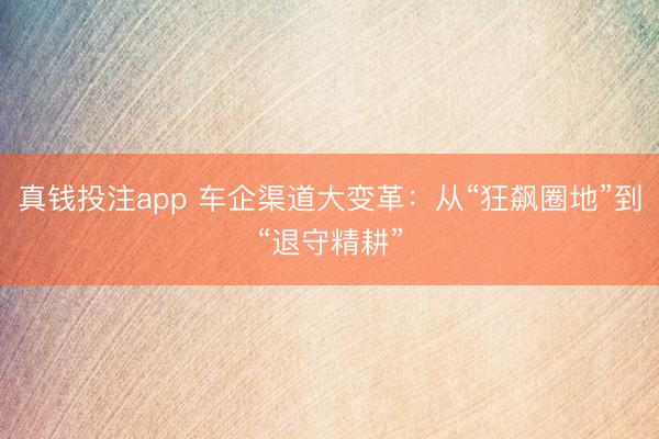 真钱投注app 车企渠道大变革：从“狂飙圈地”到“退守精耕”