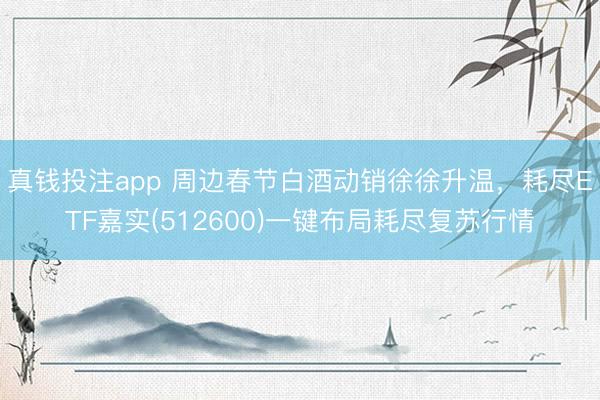 真钱投注app 周边春节白酒动销徐徐升温,耗尽ETF嘉实(512600)一键布局耗尽复苏行情