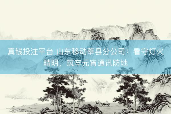 真钱投注平台 山东移动莘县分公司:看守灯火晴明,筑牢元宵通讯防地