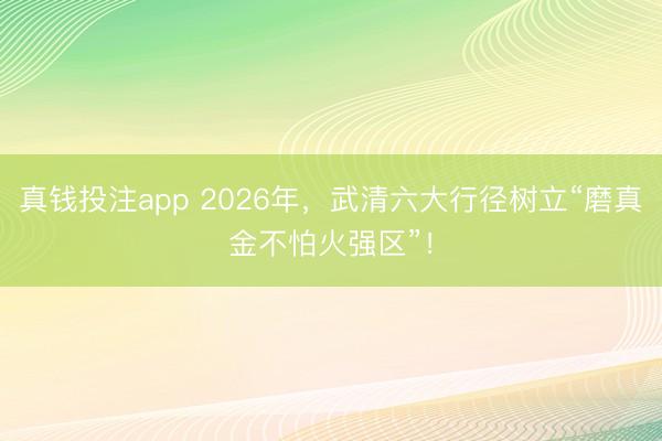 真钱投注app 2026年,武清六大行径树立“磨真金不怕火强区”!