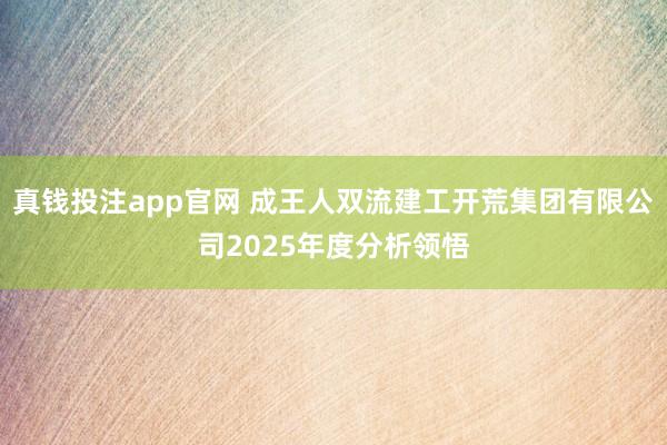真钱投注app官网 成王人双流建工开荒集团有限公司2025年度分析领悟