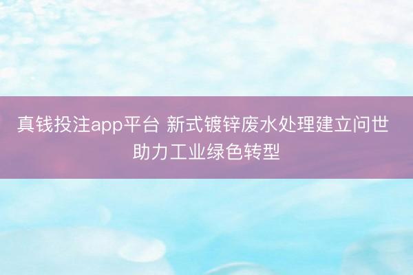 真钱投注app平台 新式镀锌废水处理建立问世 助力工业绿色转型