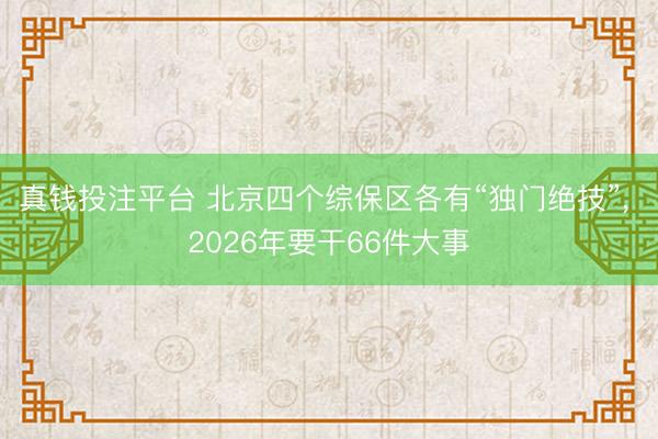 真钱投注平台 北京四个综保区各有“独门绝技”, 2026年要干66件大事