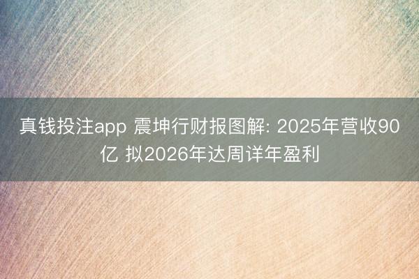 真钱投注app 震坤行财报图解: 2025年营收90亿 拟2026年达周详年盈利
