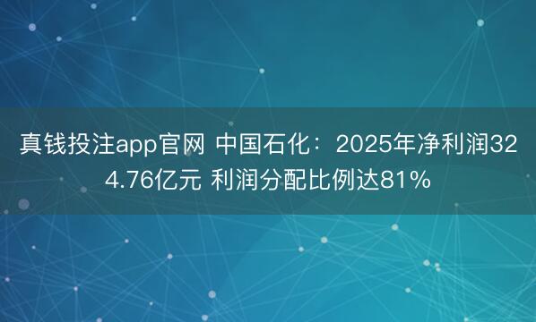 真钱投注app官网 中国石化:2025年净利润324.76亿元 利润分配比例达81%