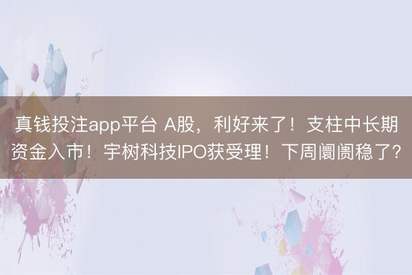 真钱投注app平台 A股，利好来了！支柱中长期资金入市！宇树科技IPO获受理！下周阛阓稳了？