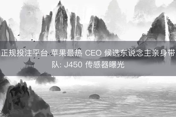 正规投注平台 苹果最热 CEO 候选东说念主亲身带队: J450 传感器曝光