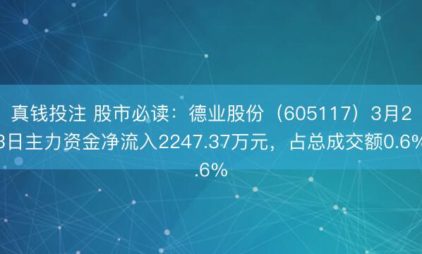 真钱投注 股市必读：德业股份（605117）3月23日主力资金净流入2247.37万元，占总成交额0.6%