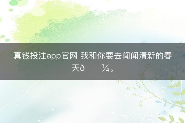 真钱投注app官网 我和你要去闻闻清新的春天🌼<a href=