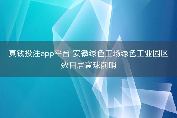 真钱投注app平台 安徽绿色工场绿色工业园区数目居寰球前哨