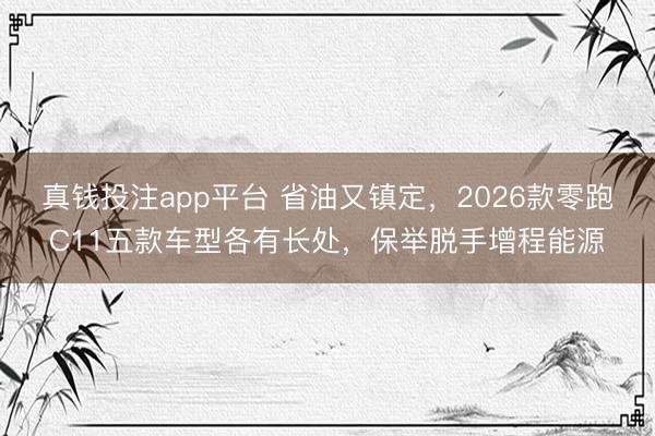 真钱投注app平台 省油又镇定，2026款零跑C11五款车型各有长处，保举脱手增程能源