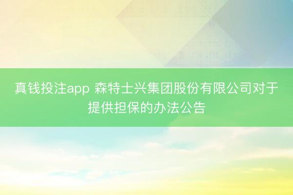 真钱投注app 森特士兴集团股份有限公司对于提供担保的办法公告
