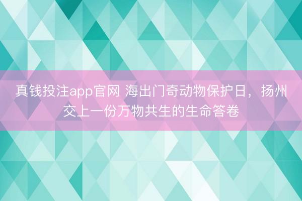 真钱投注app官网 海出门奇动物保护日，扬州交上一份万物共生的生命答卷