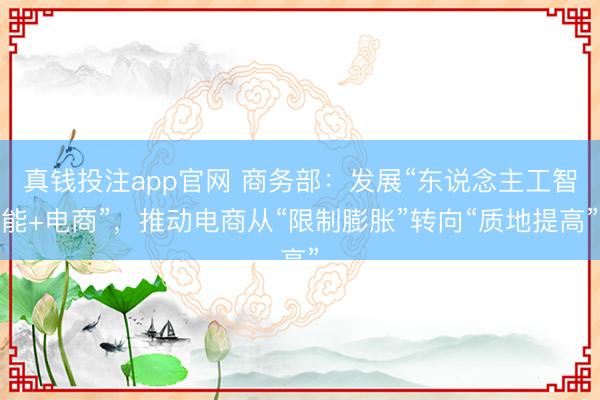 真钱投注app官网 商务部:发展“东说念主工智能+电商”,推动电商从“限制膨胀”转向“质地提高”
