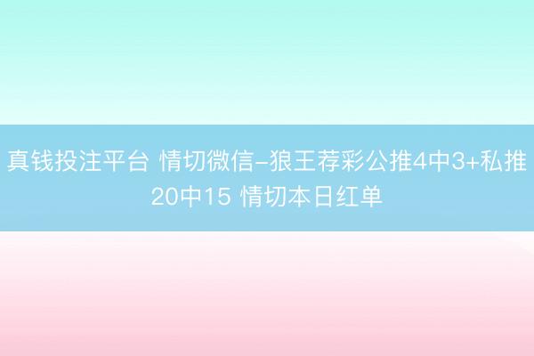 真钱投注平台 情切微信-狼王荐彩公推4中3+私推20中15 情切本日红单