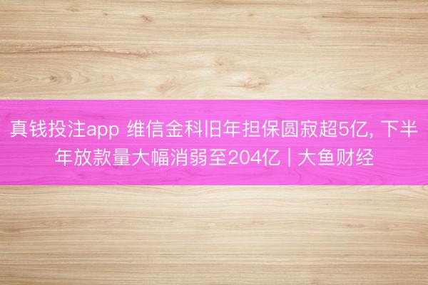 真钱投注app 维信金科旧年担保圆寂超5亿， 下半年放款量大幅消弱至204亿 | 大鱼财经