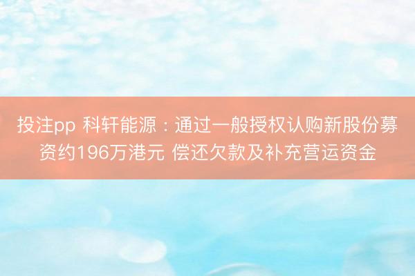 投注pp 科轩能源 : 通过一般授权认购新股份募资约196万港元 偿还欠款及补充营运资金