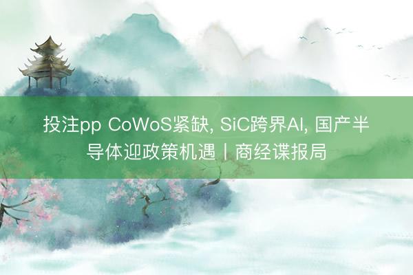 投注pp CoWoS紧缺， SiC跨界AI， 国产半导体迎政策机遇丨商经谍报局