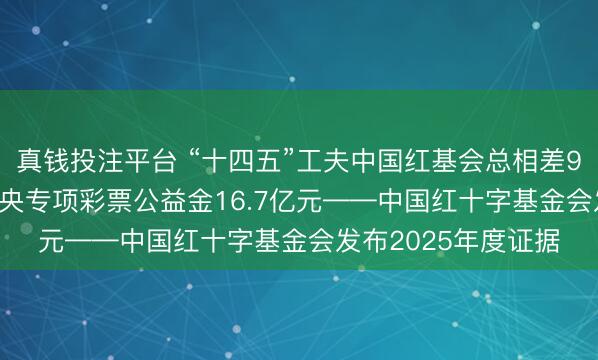 真钱投注平台 “十四五”工夫中国红基会总相差94.84亿元，推行中央专项彩票公益金16.7亿元——中国红十字基金会发布2025年度证据