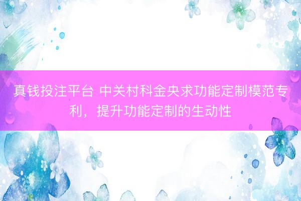 真钱投注平台 中关村科金央求功能定制模范专利，提升功能定制的生动性