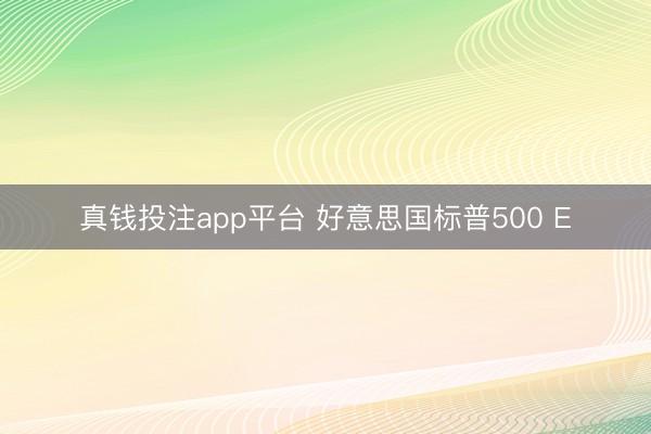 真钱投注app平台 好意思国标普500 E